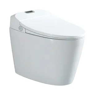Amerikanischen standard luxus einem stück wc automatische toliet flush absenkautomatik smart intelligente toilette