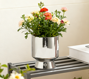 Nouvelles tendances, vase en céramique <span class=keywords><strong>de</strong></span> style piédestal rond en argent métallisé, décoration d'intérieur, <span class=keywords><strong>centre</strong></span> <span class=keywords><strong>de</strong></span> table, <span class=keywords><strong>pot</strong></span> <span class=keywords><strong>de</strong></span> fleurs - Product Image 1
