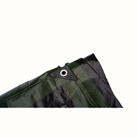 Meilleur prix Chine PE bâche bâche en plastique robuste lona de tarp rouleau camion/conteneur/machine couverture