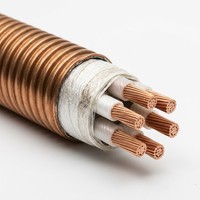 Câble d'alimentation 0,6/1 kV résistant au feu, isolé minéral, à 5 conducteurs en cuivre, norme IEC RTTZ, pour système de protection incendie