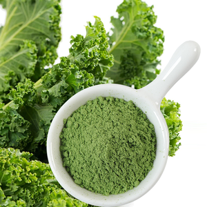 कस्टम-निर्मित कार्बनिक फ्रीज-सूखे काले अर्क पाउडर मीठा स्वाद बच्चों के थोक बैग पैकेजिंग कारखाने प्रत्यक्ष बिक्री - Product Image 1