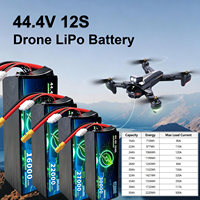 Baterai Lithium Polymer 32000mAh Pasokan Pabrik 44.4V 12S 5C 500+ Siklus Baterai Drone UAV Disetujui UN38.3 & MSDS