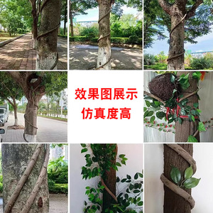 เถาวัลย์แห้งจากภูเขาลาวซาน รูปทรงสี่เหลี่ยมผืนผ้า เถาวัลย์หนาสำหรับตกแต่งภายในบ้าน ตกแต่งเพดานงานแต่งงาน ดอกไม้ประดิษฐ์ - Product Image 5