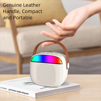 Haut-parleur portable, mini haut-parleur karaoké, 2 micros sans fil, son haute fidélité, lumières LED, cadeau de Noël pour enfants