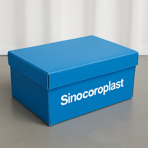 Trung Quốc bán buôn Đen vận chuyển hộp Hot Bán gấp sóng tùy chỉnh in colour Giày hộp lưu trữ với logo tùy chỉnh - Product Image 1