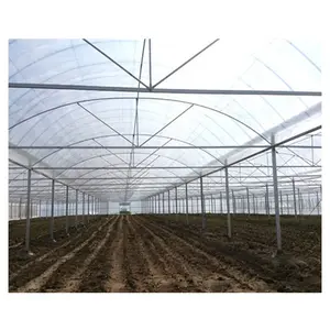 High quality 200 miron film tunnel arch green houses for vegetable used