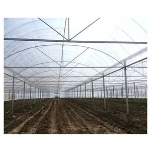 High Quality 200 Miron Film Tunnel Arch Green Houses For Vegetable Used