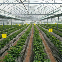 Serre tunnel multi-voûtes en plastique pour l'élevage commercial de volailles et d'escargots, kit d'agriculture protégée