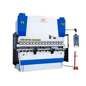 Winsumart WE67K 시리즈 CNC 수압기 브레이크 판금 구부리는 기계 가격 Delem DA53T 를 가진 125T 2500mm