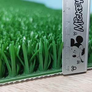Graceline Dream Turf oro chiusa in erba alluvionale oro scatola chiusa che stuoia piante di erba verde - Product Image 5
