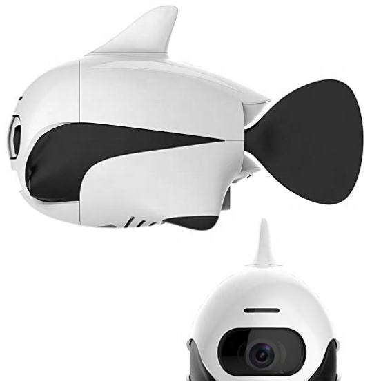 BIKI — image 2