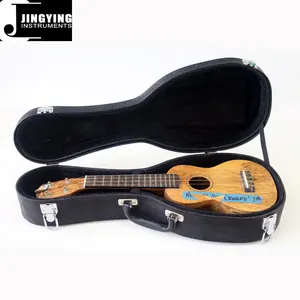 2022 Jingying Music Instrument Case Serie, 21 Zoll Ananas Typ Ukulele Case