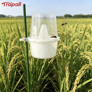 Trappola ai feromoni per il controllo dei parassiti nell'agricoltura biologica dei risaie: trappola per il trivella del riso (Chilo Suppressalis) - Product Image 1