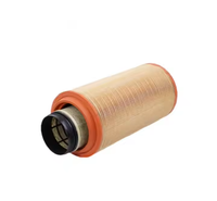 Composants de filtre à air de camion de haute qualité WG9X25190062 WG9X25190062/1 201V12503-0062 200V05504-0122 WG9X25190061 Prix de sortie