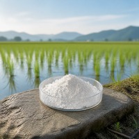 Inhibiteur d'uréase NBPT (CAS 94317-64-3) pour la production et le mélange d'engrais granulaires à base d'urée, pureté 97%