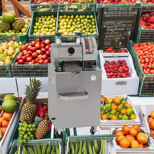 Máquina de prensa de jugo de caña de azúcar automática comercial Extractor de jugo de caña eléctrica Nueva condición 300 kg/h Capacidad 220V Volta - Product Image 3