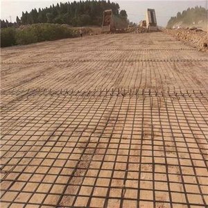 PP đơn trục <span class=keywords><strong>geogrid</strong></span> nhựa Xây Dựng Kỹ thuật dân dụng để gia cố đất - Product Image 6