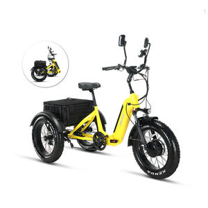 Tricycle électrique pliable à 3 roues de 20 pouces, batterie au lithium sans balais, 500W 48V, pneus larges intégrés, trike cargo pour trajets de fin de ligne - Product Image 1
