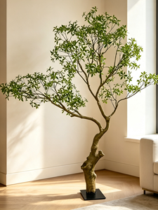 Arbre artificiel <span class=keywords><strong>Pieris</strong></span> <span class=keywords><strong>Japonica</strong></span> sur mesure de grande taille, tronc courbé, plante verte artificielle pour l'aménagement intérieur des halls d'hôtels et la décoration de terrasses - Product Image 1