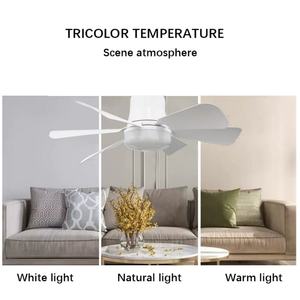 Ventilateur de plafond LED universel portable pour chambre à coucher avec télécommande, tête de lampe rotative E27, silencieux, vente en gros - Product Image 4