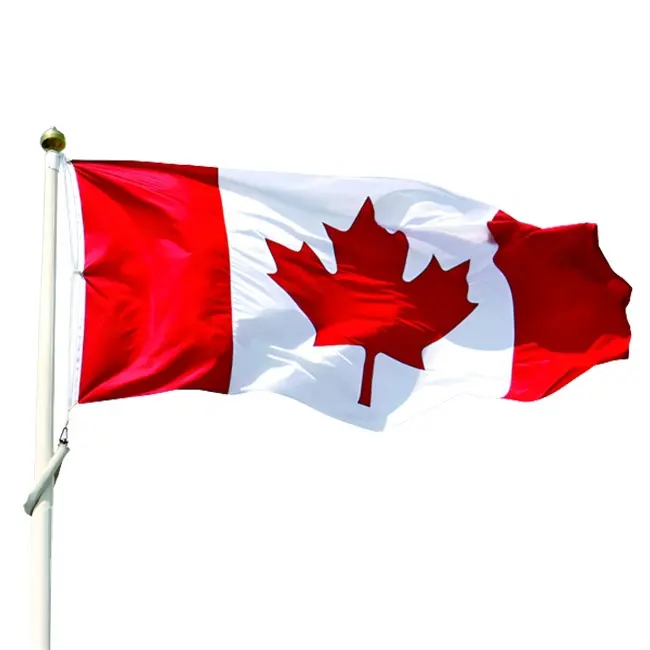 Prodotto promozionale di alta qualità 3 x5ft 100% poliestere tessuto decorazione esterna appesa elezione bandiera canadese personalizzata