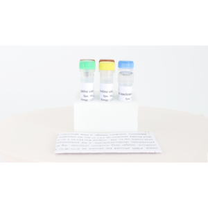 Yüksek hassasiyet kuş gribi virüsü N6 Subtype kanatlı hastalığı testi için gerçek zamanlı RT-PCR algılama kiti - Product Image 4