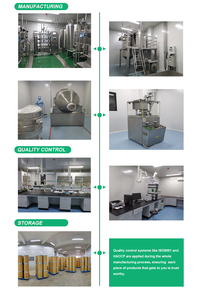 热销天然牛蒡叶提取物 牛蒡胶囊 牛蒡叶提取物粉 - Product Image 5