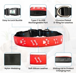Collares LED a prueba de agua para mascotas, collares LED de Color ajustable para perros, productos antipérdida de noche para perros, <span class=keywords><strong>Collar</strong></span> electrónico para mascotas LED para perros