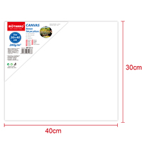 Cung Cấp Nghệ Thuật Phòng Trưng Bày Bằng Gỗ Canvas Lớn Trống Căng Tranh Diy Với Khung Gỗ