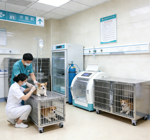 다용도 스테인리스 스틸 동물병원 강아지 및 고양이 주사용 케이지 패널 플라스틱 트레이 포함 실내/외용 켄넬 케이지 - Product Image 2