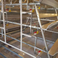 Ensemble de cages d'élevage de poulet durables à 4 niveaux avec machine de collecte automatique des œufs pour poulailler