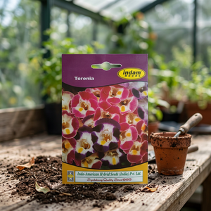 Indam Torenia <b>Seeds</b> 15 <b>Seeds</b> Multi-Colored From India - Product Image 3