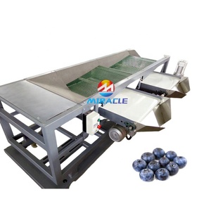Máquina Clasificadora de Arándanos de Alta Eficiencia para Uso Agrícola, Máquina Clasificadora de Frutas, Máquina Clasificadora de Arándanos por Tamaño - Product Image 4