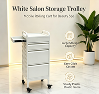 Chariot de rangement professionnel en métal pour salon de beauté, 4 tiroirs, rails silencieux, chariot utilitaire pour clinique de soins de la peau, hôpital