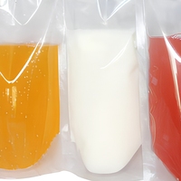 Sac de jus à fermeture éclair jetable populaire pochette à bec en gros PET jus lait thé lait de soja sac de boisson givré