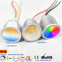Ampoule intelligente dimmable Benory 24V CRI95 2000-6000K blanc réglable, module spot MR16 8W 10W, compatible Loxone, DMX, KNX, GVS, Dali, DT8, CCT, PWM