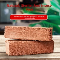 Bloc de coco écologique, terreau nutritif pour la plantation de fleurs et de légumes, terreau universel en fibre de coco