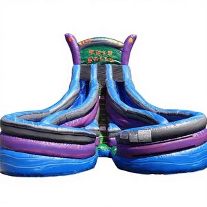 Tobogán Acuático Inflable Gigante de Doble Carril con Piscina, Venta Directa de Fábrica China, Marca Winway, Modelo Ww11, Material PVC, Capacidad 500kg, Diseño Castillo - Product Image 1