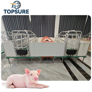 Chăn Nuôi Lợn thiết bị trang trại gieo đẻ giường và lồng giao hàng cho lợn nái - Product Image 6