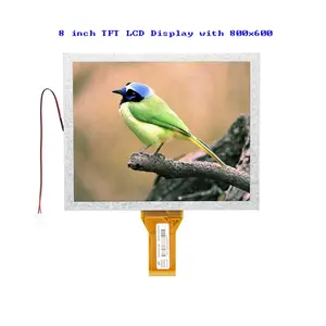 8 inch LCD display tn screen 800x600 resolution 4/3 aspect ratio 50pin RGB/TTL Interface