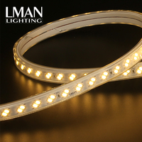 Nouveauté 2025 – Ruban LED SMD 5730 étanche IP65, 120 LED/m, corps en cuivre et PVC, CRI 90, dimmable, pour aménagement paysager, compatible AC 110V/127V/220V/260V