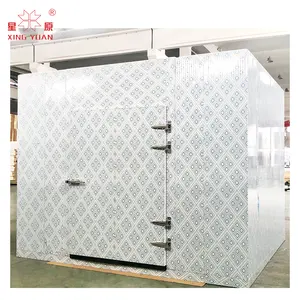 Hot sell Cold Storage Room For Fruits And Vegetables in Philippines