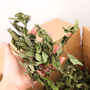 有机新品低价精选干留兰香有机全绿叶风干草本留兰香茶100% 天然草药茶 - Product Image 4