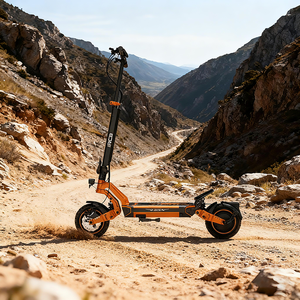 Entrega Rápida, Stock en la UE, RCB D7 500W, Ligero, Plegable, Urbano, Moderno, D7/D7 Pro, Scooter de Dos Ruedas - Product Image 4
