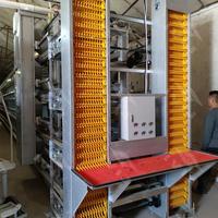 Cage à poules pondeuses de type H à quatre niveaux, galvanisée à chaud, entièrement automatisée, avec système automatique, personnalisation spécialisée