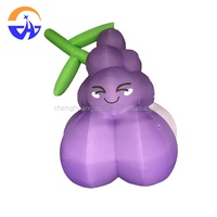 Modèle de raisin gonflable personnalisé, thème fruit, pour publicité, promotion, activité, décoration, accessoires, raisin gonflable