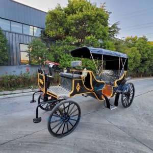 Carrosses de Mariage Électriques Spéciaux pour Visites Touristiques, Prix Usine, Transport de Luxe, à Vendre - Product Image 1