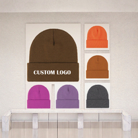 60 Warna Logo Kustom Bordir 3D Unisex Beanies Topi Rajut Musim Dingin Argyle Motif Buah Kotak-kotak Gambar Gambar Tangan Desain Bisnis Kartun