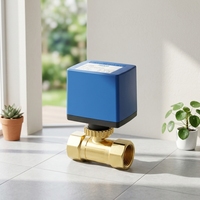 Vente directe d'usine, vanne de régulation électrique en plastique + cuivre de haute qualité, contrôle intelligent de la température, AC 220 V