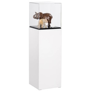 Vitrine d'exposition en acrylique transparent sur mesure avec base noire, boîte de présentation en verre anti-poussière pour sculpture, buste, collection d'art, musée - Product Image 6
